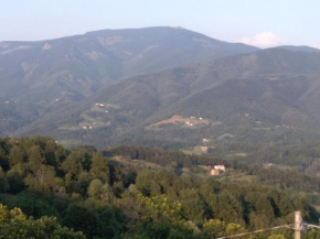 Hotels in Maissana